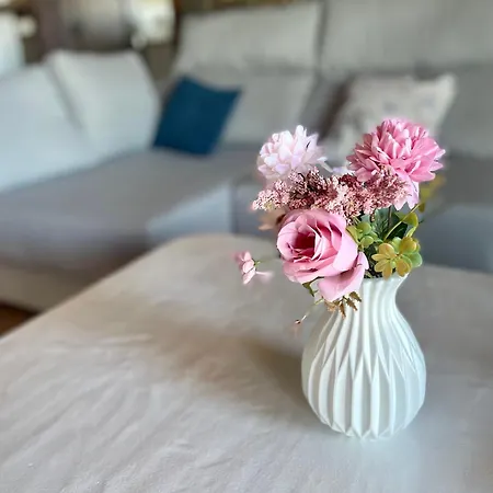 Canto Rojo, Con Vistas A Lobos * La Asomada (Lanzarote)